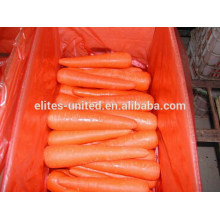 Fabricant de carottes fraîches de haute qualité en provenance de Chine